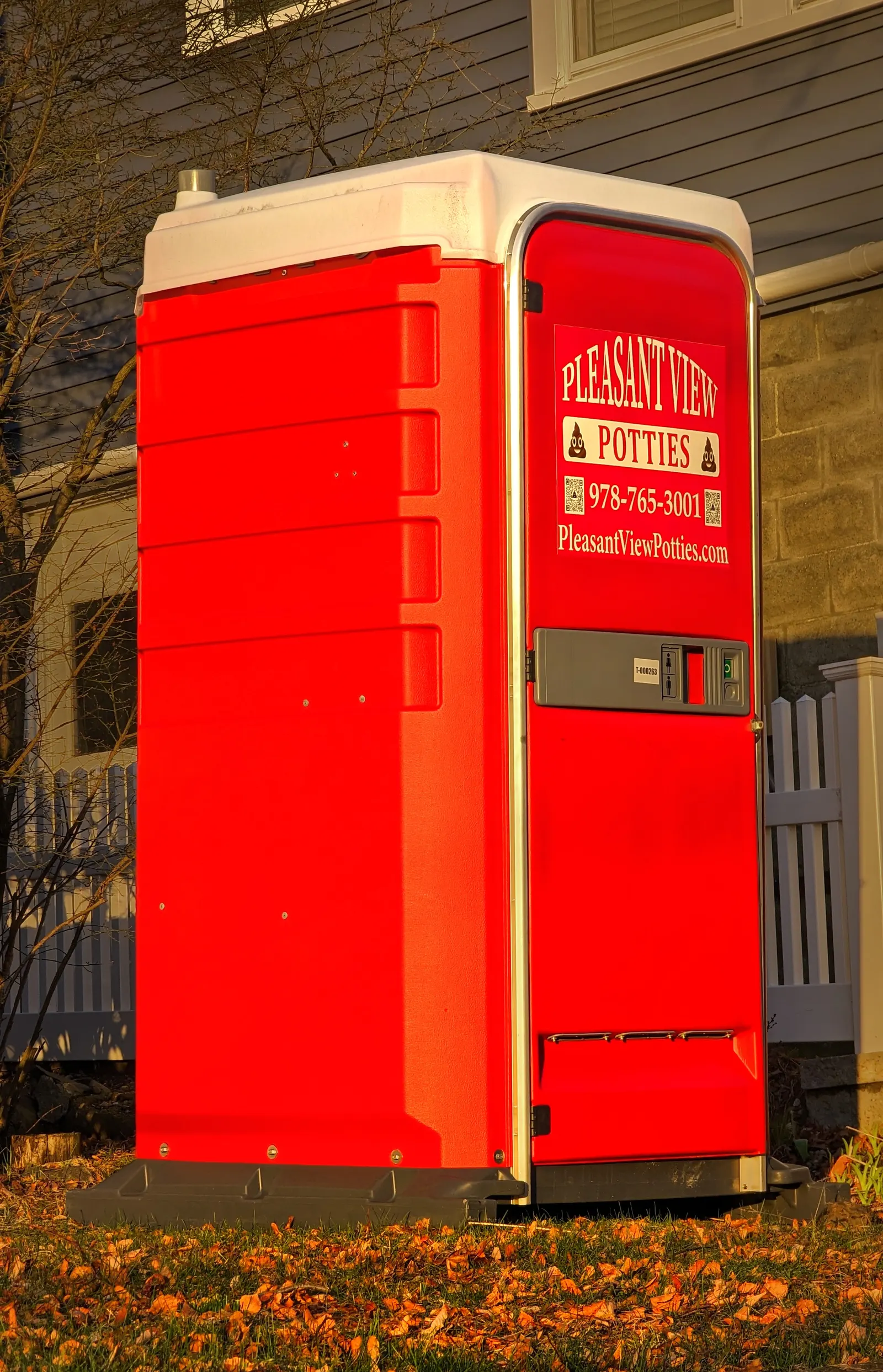 A single portable toilet unit standing on a grass verge